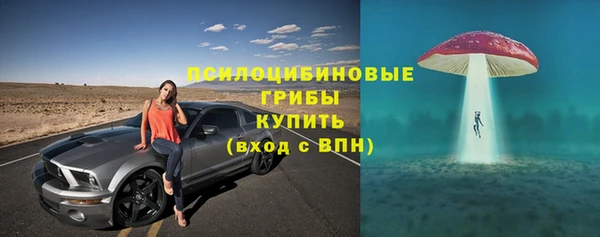 дживик Белоозёрский