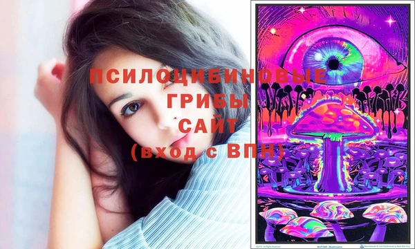 apvp Белокуриха